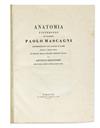 MASCAGNI, PAOLO. Anatomia Universale.  1833